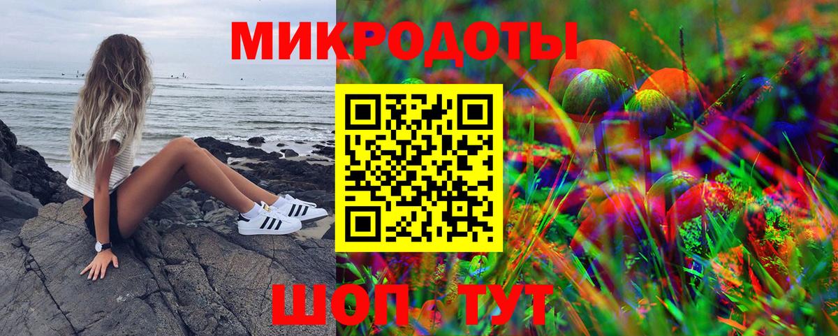 Галлюциногенные грибы Cubensis Воркута