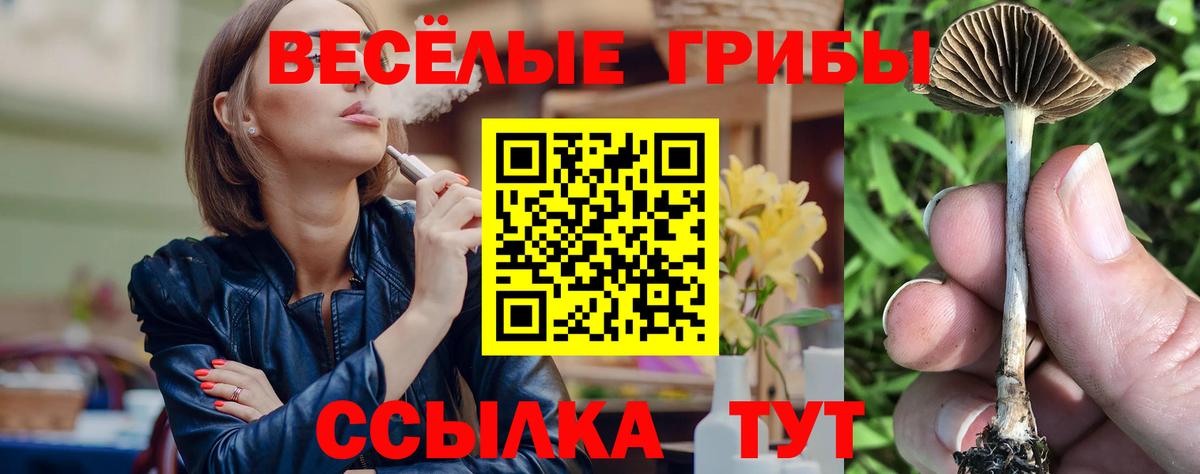 Псилоцибиновые грибы GOLDEN TEACHER  Галлюциногенные грибы Psilocybe  Вход с VPN  Воркута 